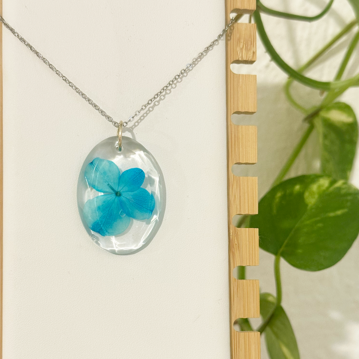 Collar Ardeola