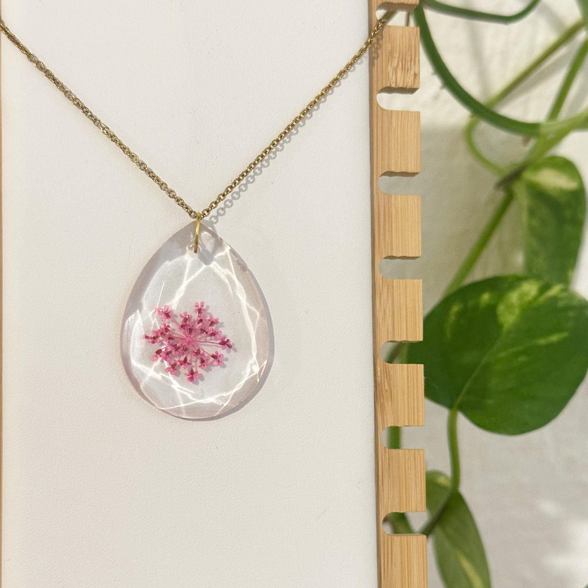 Collar Biarmicus