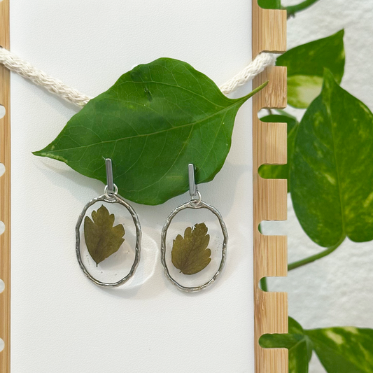 Aretes Moss