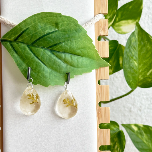 Aretes Nori