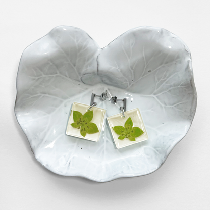 Aretes Thisbe