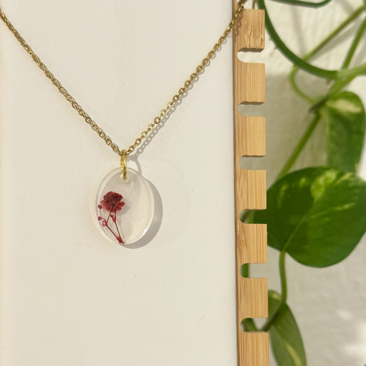 Collar Alcedo
