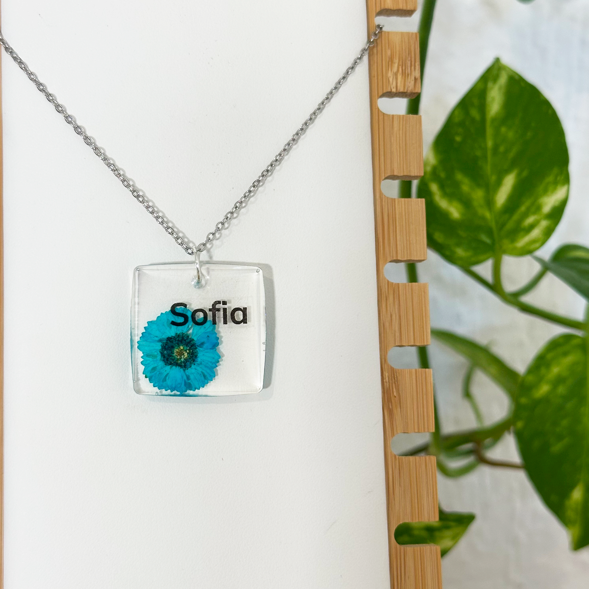 Sofia collar